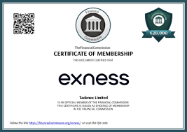 Trading Anywhere Exploring Exness on Mobile